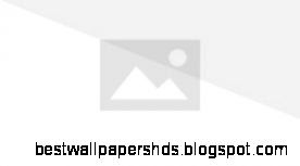 BigBruv39s Big Brother   Tengaged Outstanding Group Awards Wiki   Wikia