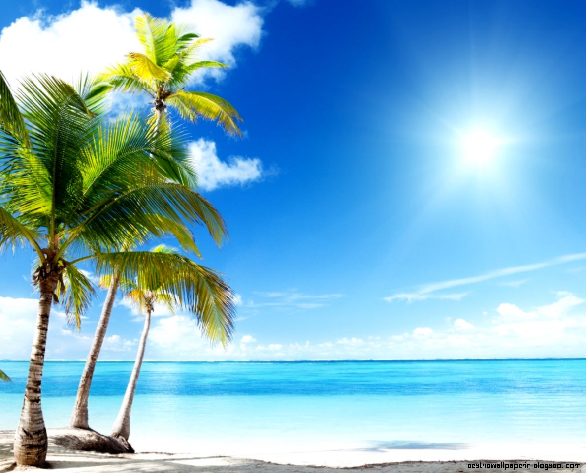 1280x1024 Tropical Beach desktop PC and Mac wallpaper