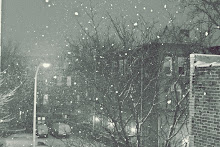 Winter 2010, Philadelphia, PA