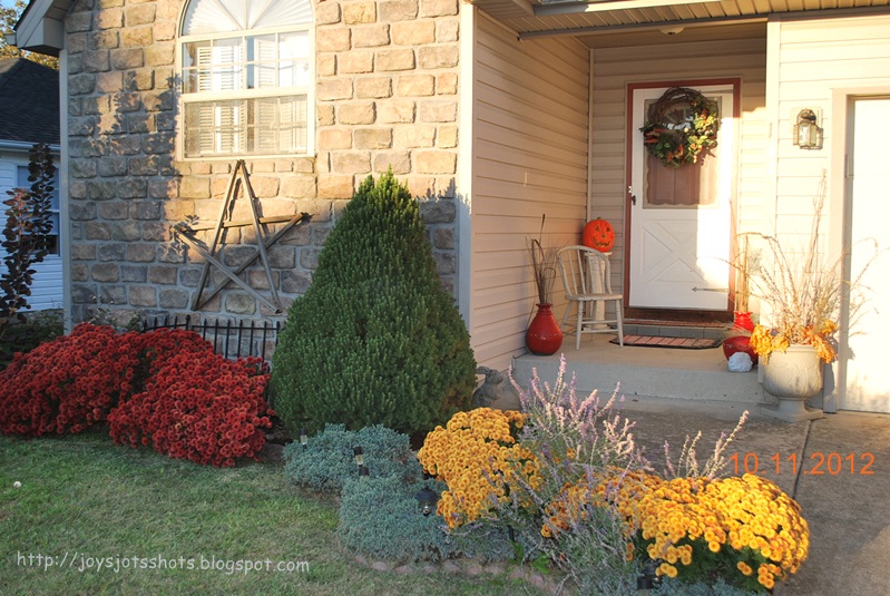 Joy's Jots, Shots & Whatnots Don't Throw Away Those Mums