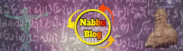 NabbuBlog