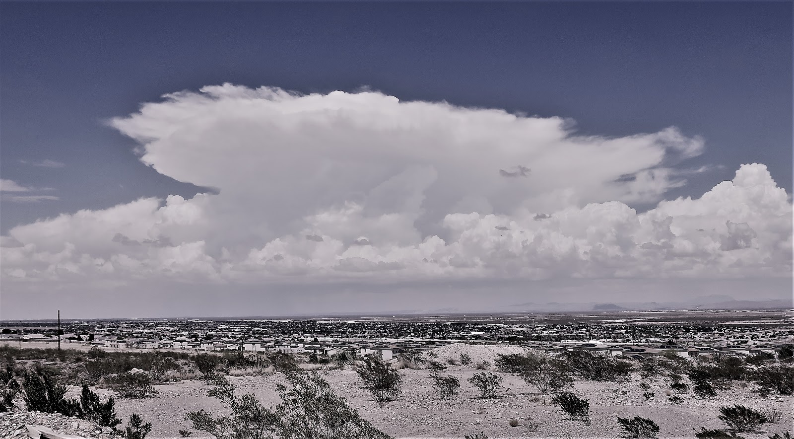 Living Rootless El Paso Alabama to