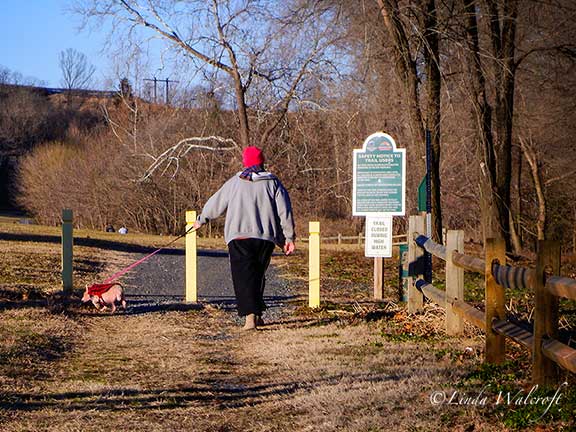 woman walking small dog on trail