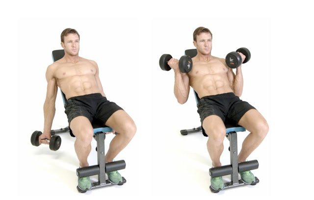 Bicep Workout