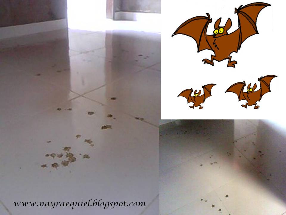 Nayra e Quiel ** Diário de uma construção Ataque dos Morcegos!!! Nãaao!!! No meu porcelanato Nayra e Quiel ** Diário de uma construção Ataque dos Morcegos!!! Nãaao!!! No meu porcelanato