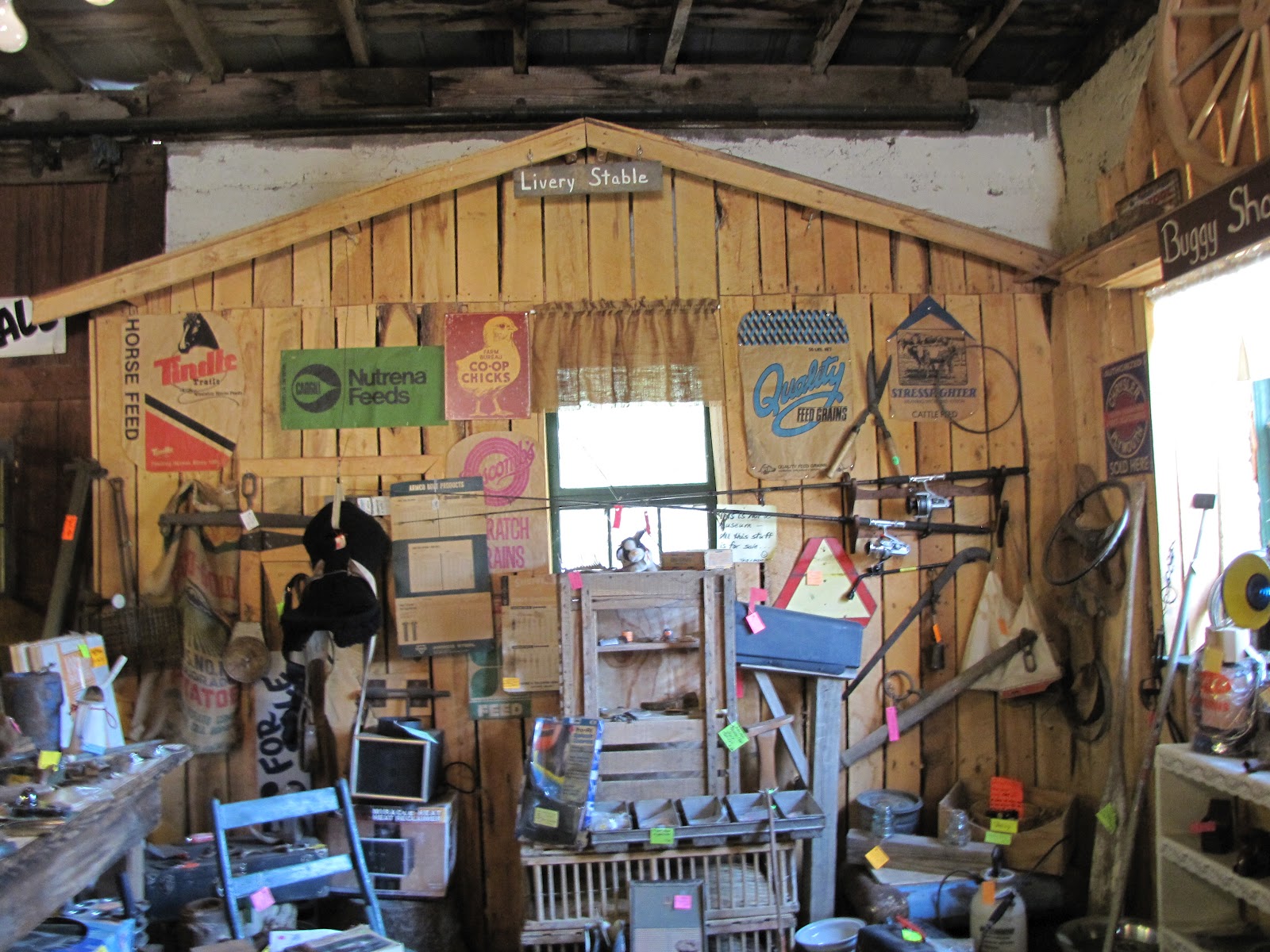 Granny Mountain The Bargain Lady