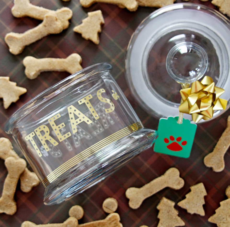 Dalmatian DIY DIY Dog Treat Jar {Guest Post} + Treat Jar Tips and