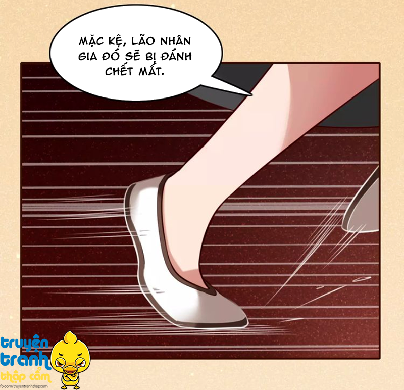 Cẩm Lý Quy - Chương 12 - Trang 9