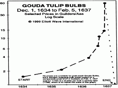 Tulipomania Horan Capital Advisors Hindsight Makes It Easy To Point Out How Ridiculous Prices Had Become For Tulip Bulbs But Investors Should Not The Lesson Be Learned From