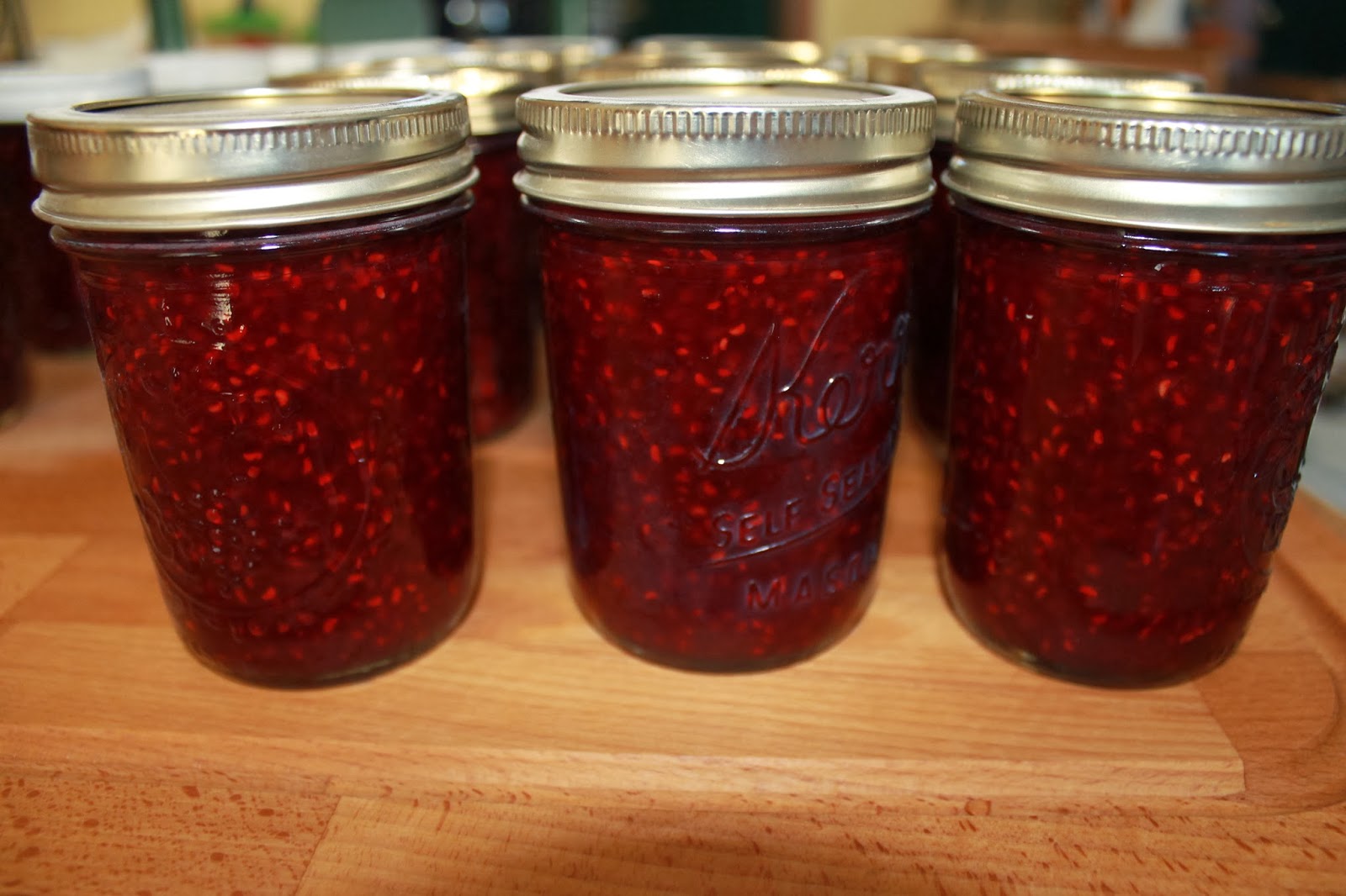 SunShine Sews... Raspberry Jam