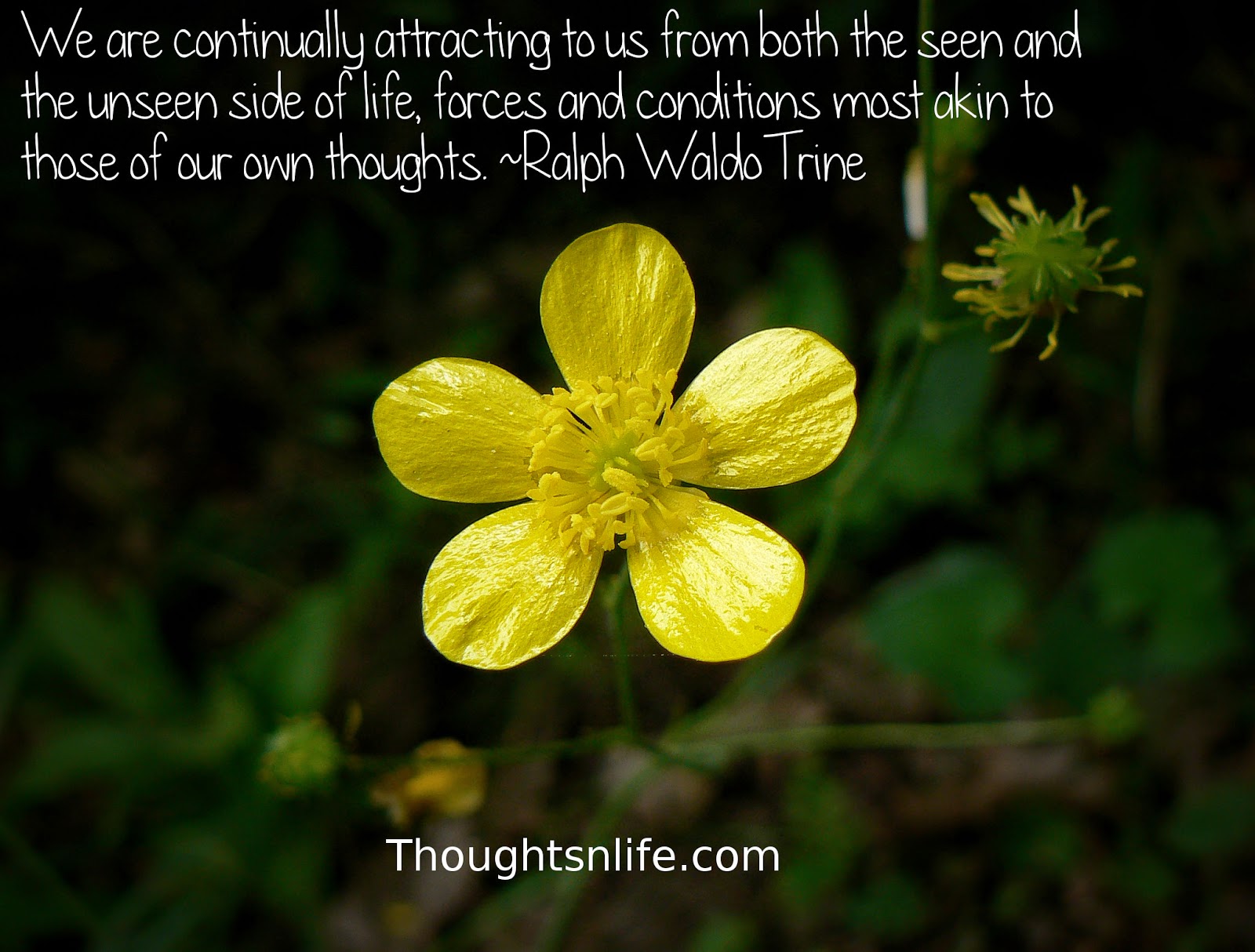 Thoughtsnlife.com: We are continually attracting to us from both the seen and the unseen side of life, forces and conditions most akin to those of our own thoughts. Ralph Waldo Trine