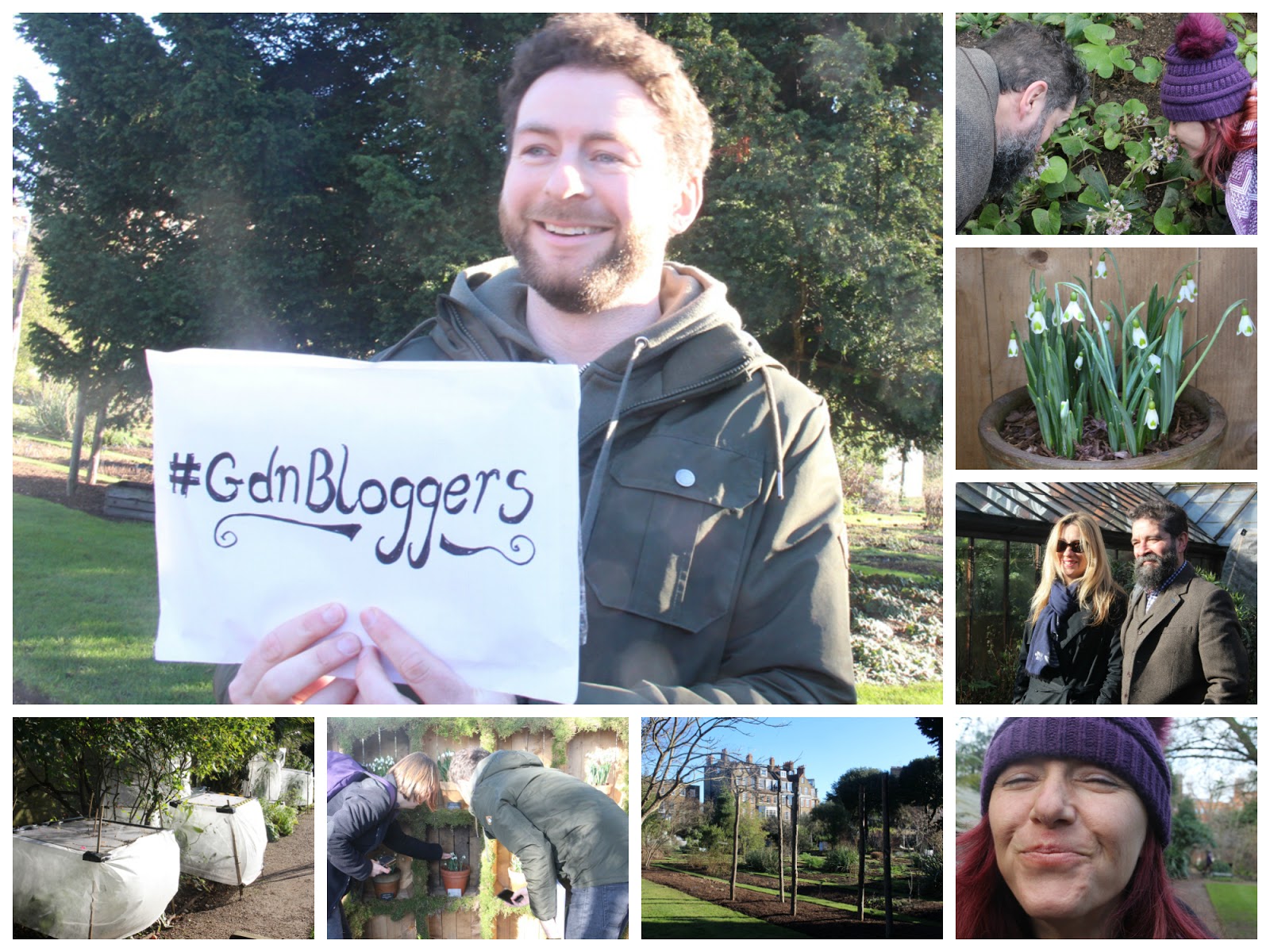 Garden Bloggers' Muse Day Life is...