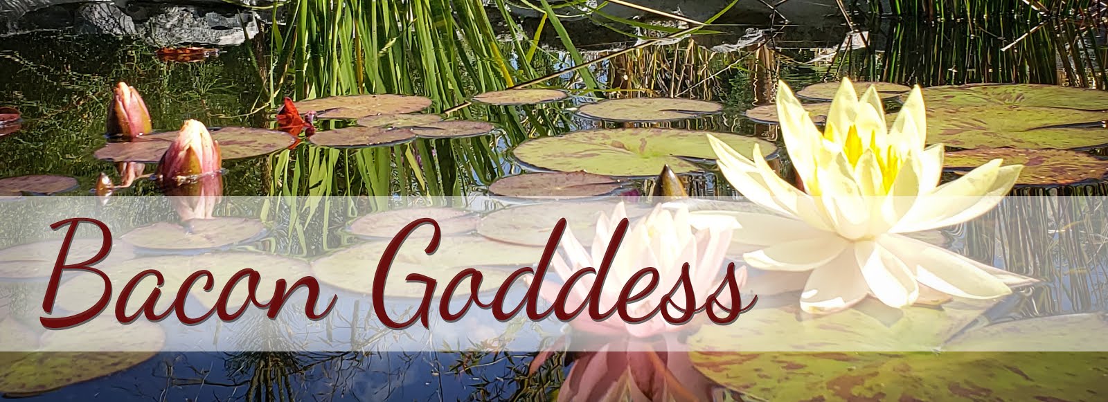 Bacon Goddess Bacon Fashion