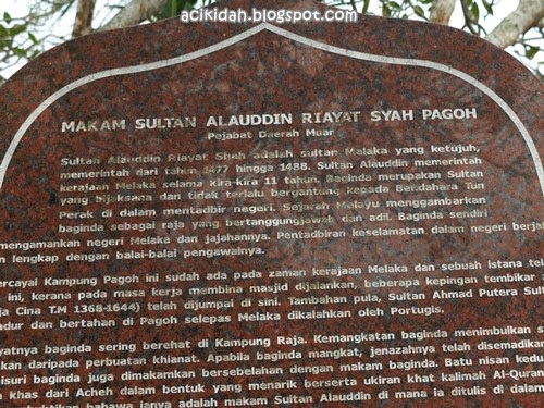 Makam Sultan Alauddin Riayat Shah Pagoh.