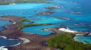 Las Tintoreras Isabela Island, Galapagos
