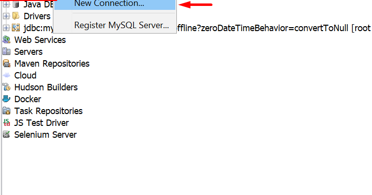 How To Add SQL Server Database On Netbeans Service