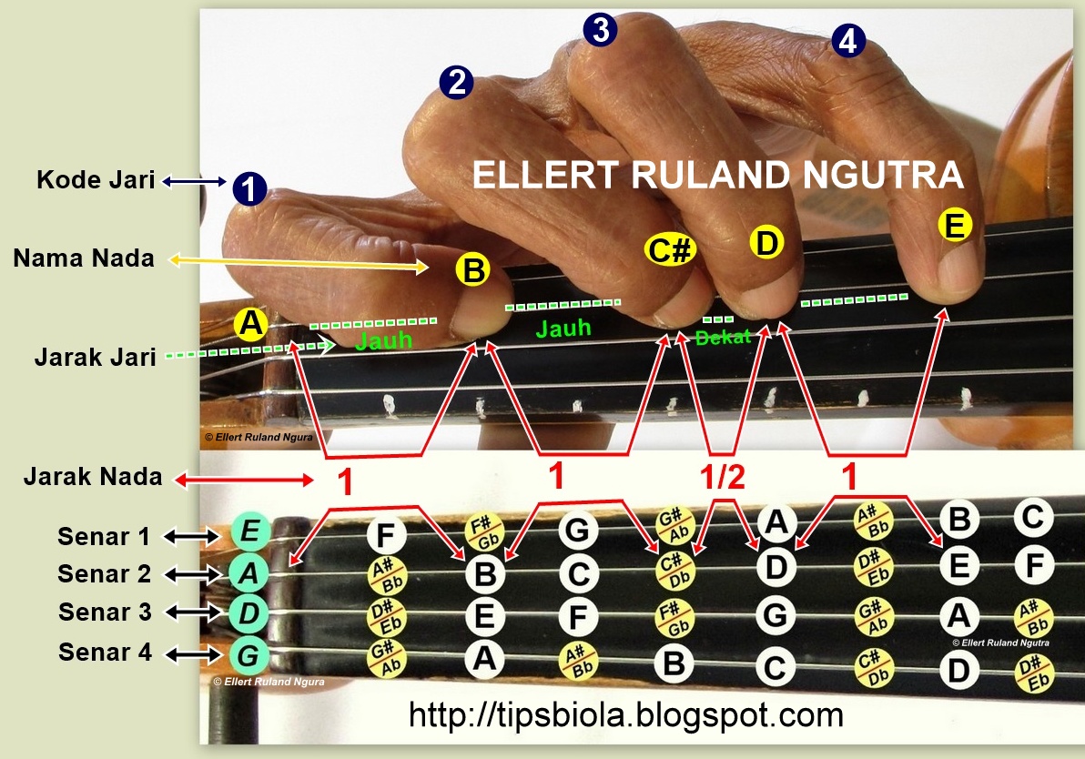 Tips Biola: Teori Musik 1 - Teknik Menemukan Nada Pada Biola