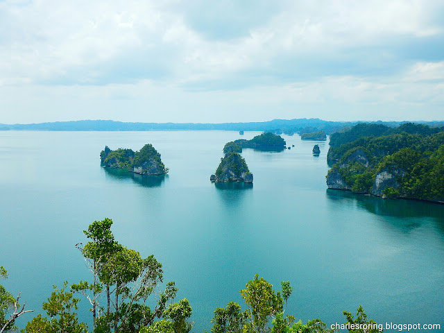 Raja Ampat karst Wawiyai viewpoint in Kabui bay