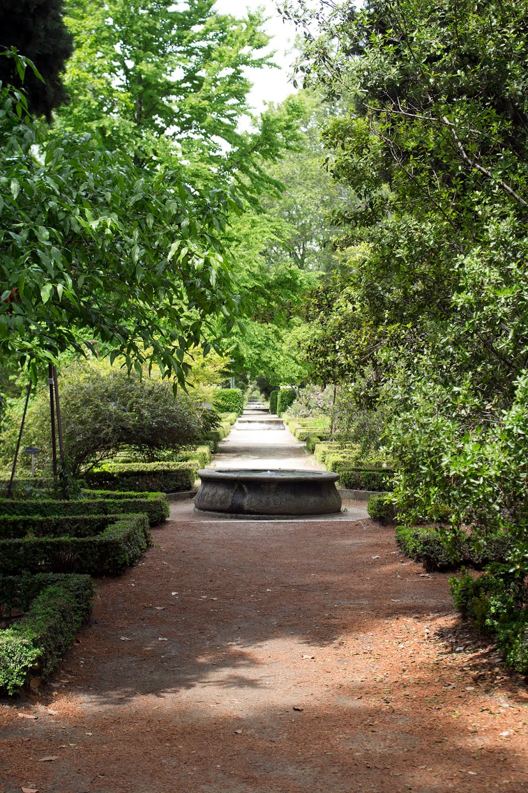 Madrid Real Jardin Botanica / Kipparin morsian