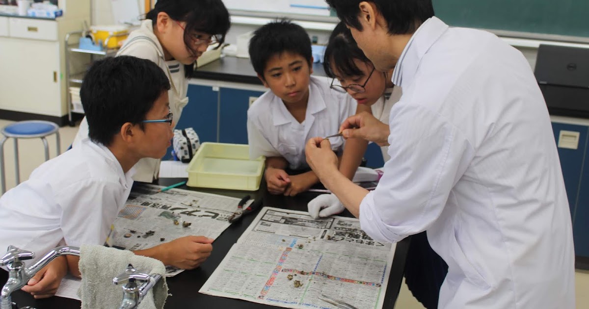 6年 イボニシを教材とした環境教育理科