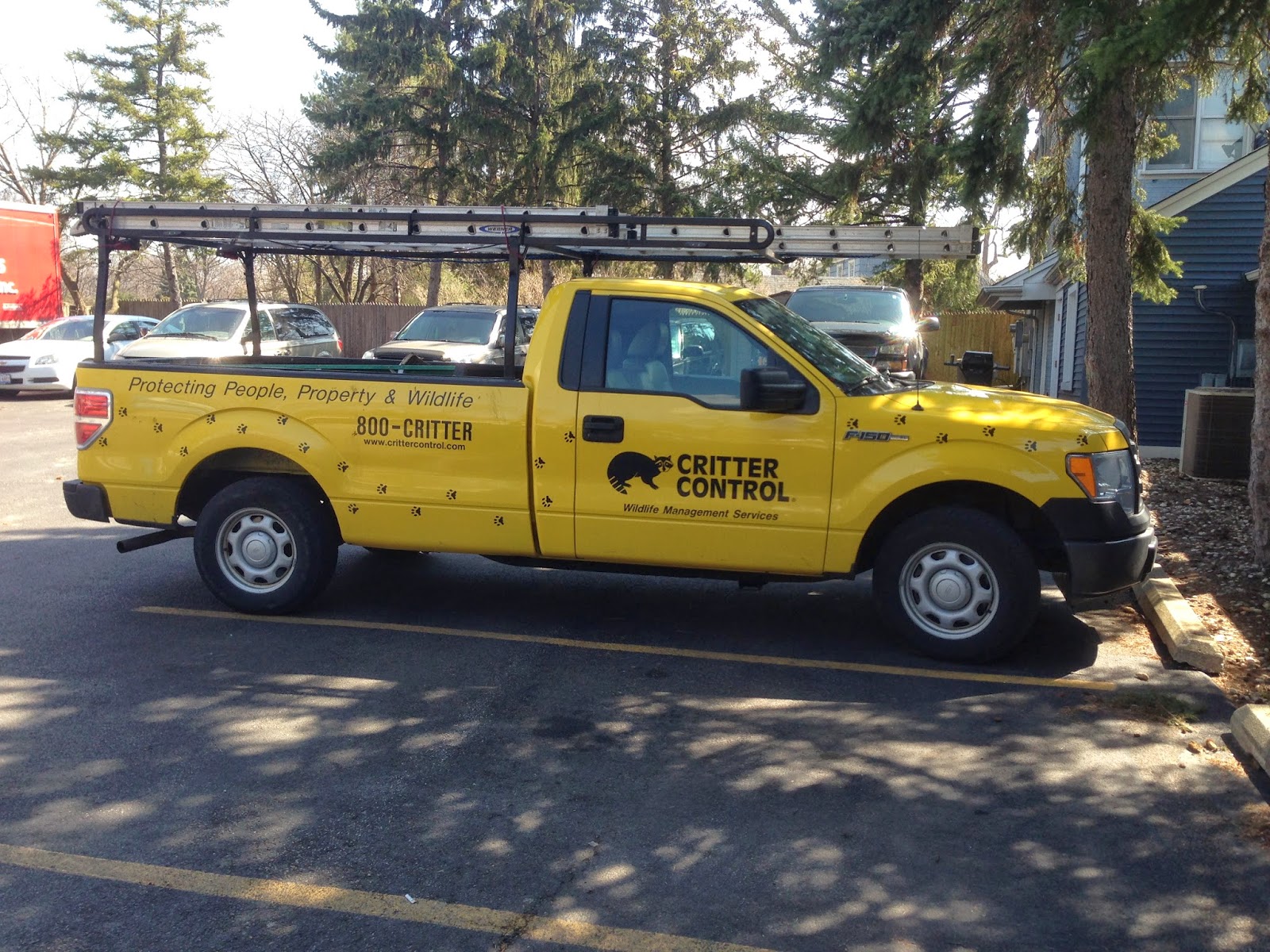 Boring Old White Guy: Is Critter Control...