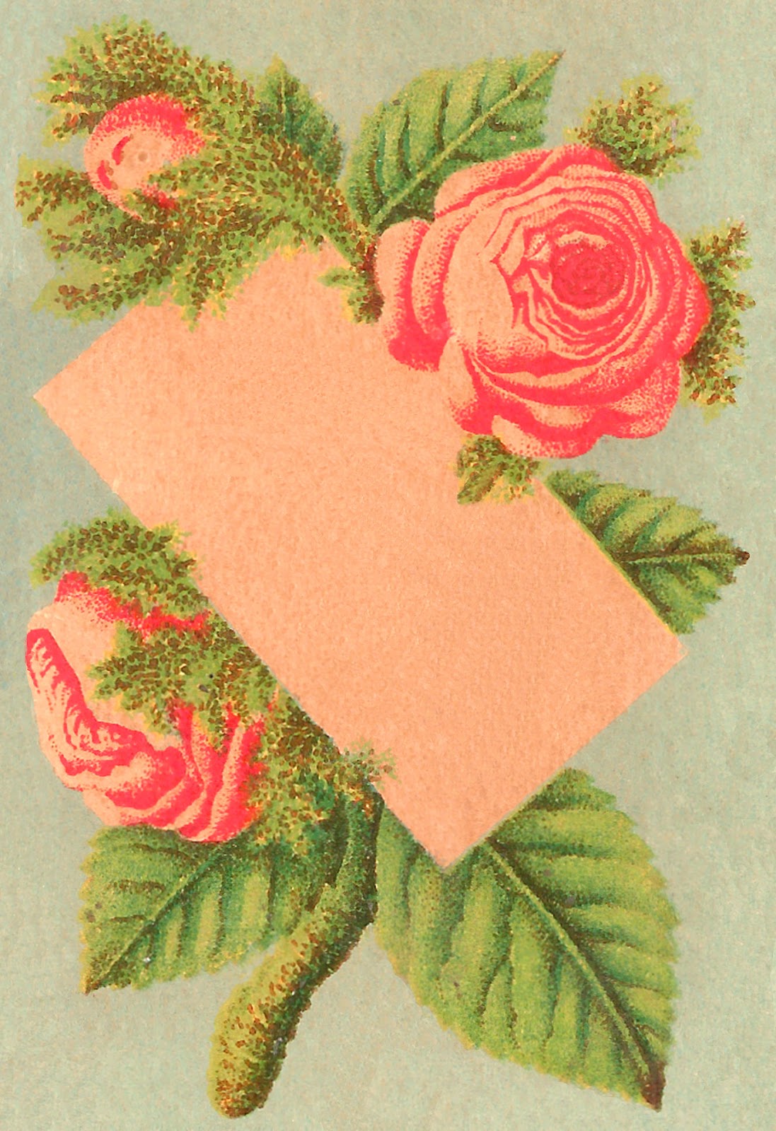 antique-images-printable-blank-rose-flower-note-card-label-design