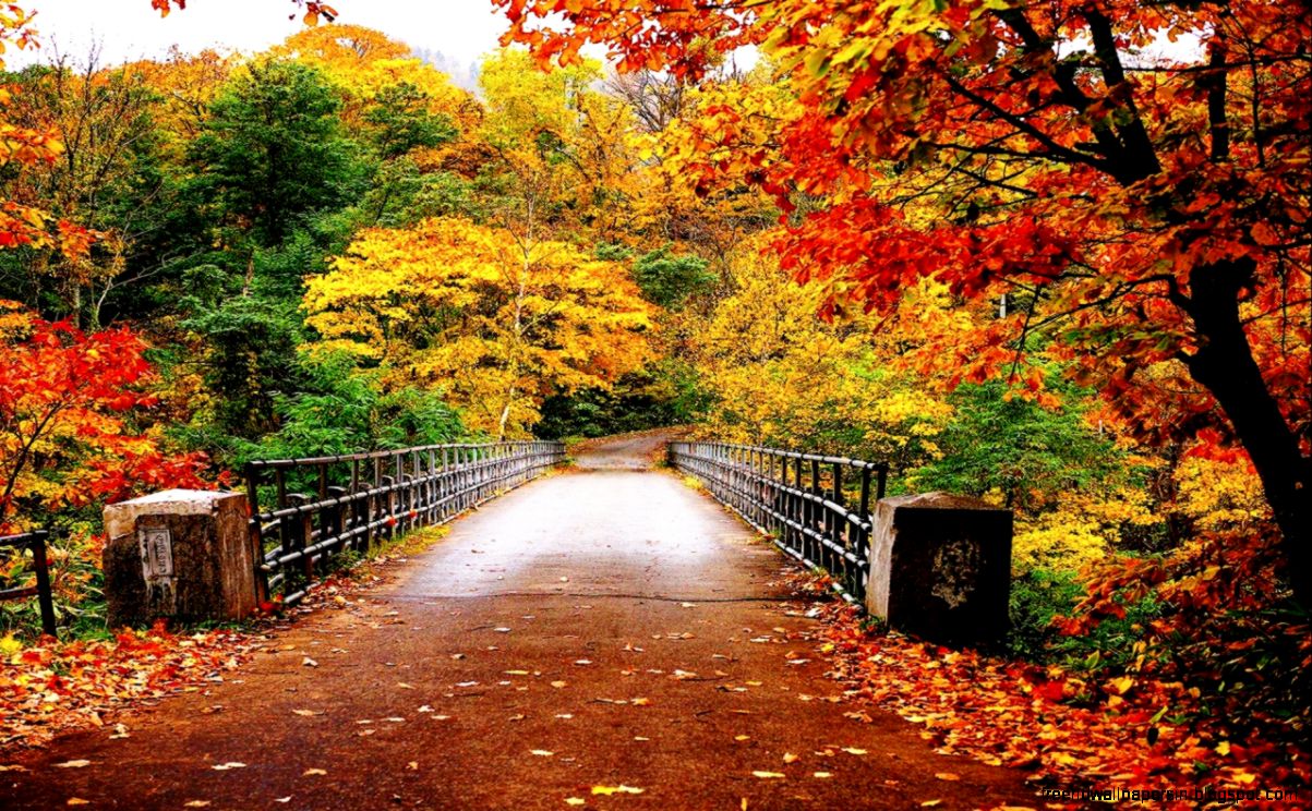 Autumn Season Wallpapers amp Backgrounds For PC Desktop