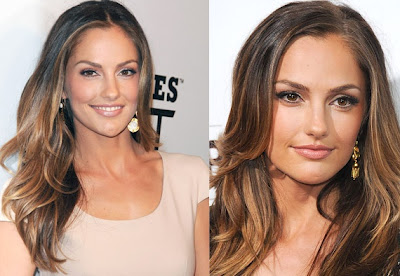 Celebrities of 2012: Minka Kelly Hair