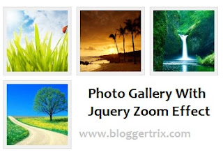 jquery-zoom-effect