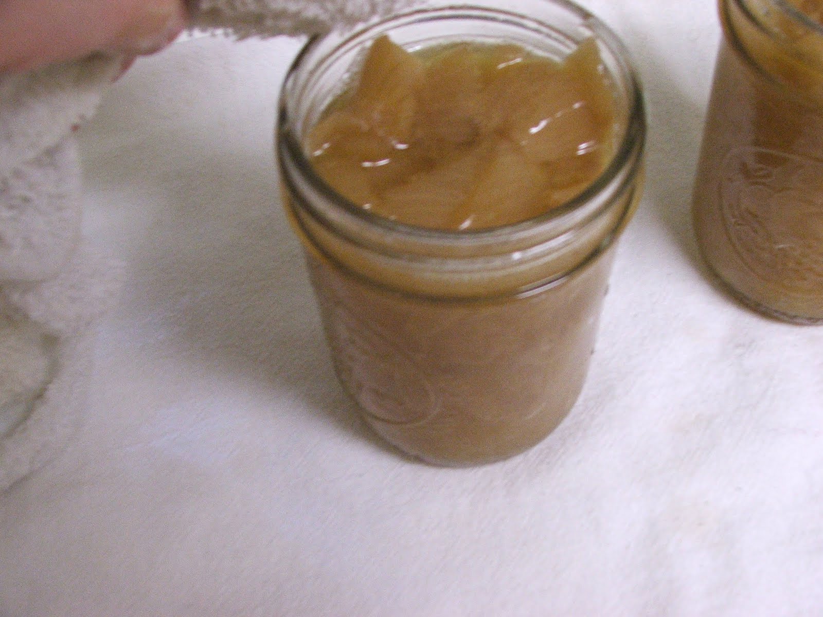 Canning Granny Canning Caramelized Onions