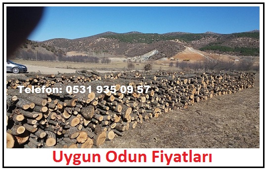 Firinlik Odun Fiyatlari 0531 935 09 Istanbul Somine Mese Odunu Satan Yerler Oduncular Cam Ton Satisi Odun Fiyatlari 2018