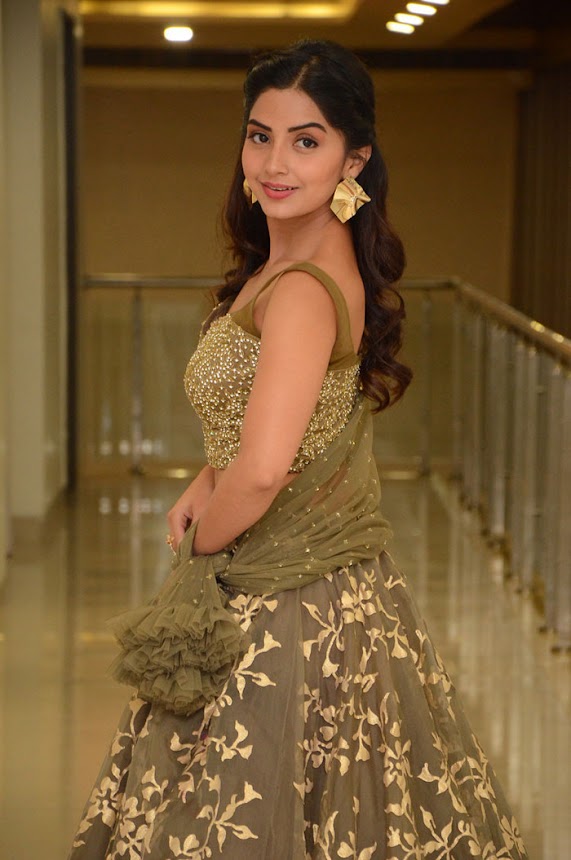 Kashmira Pardeshi at Narthanasala Pre-Release