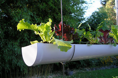 Decoracion Actual de moda: Jardines Colgantes