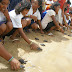 Indígenas wayúu que trabajan en la conservación de tortugas marinas