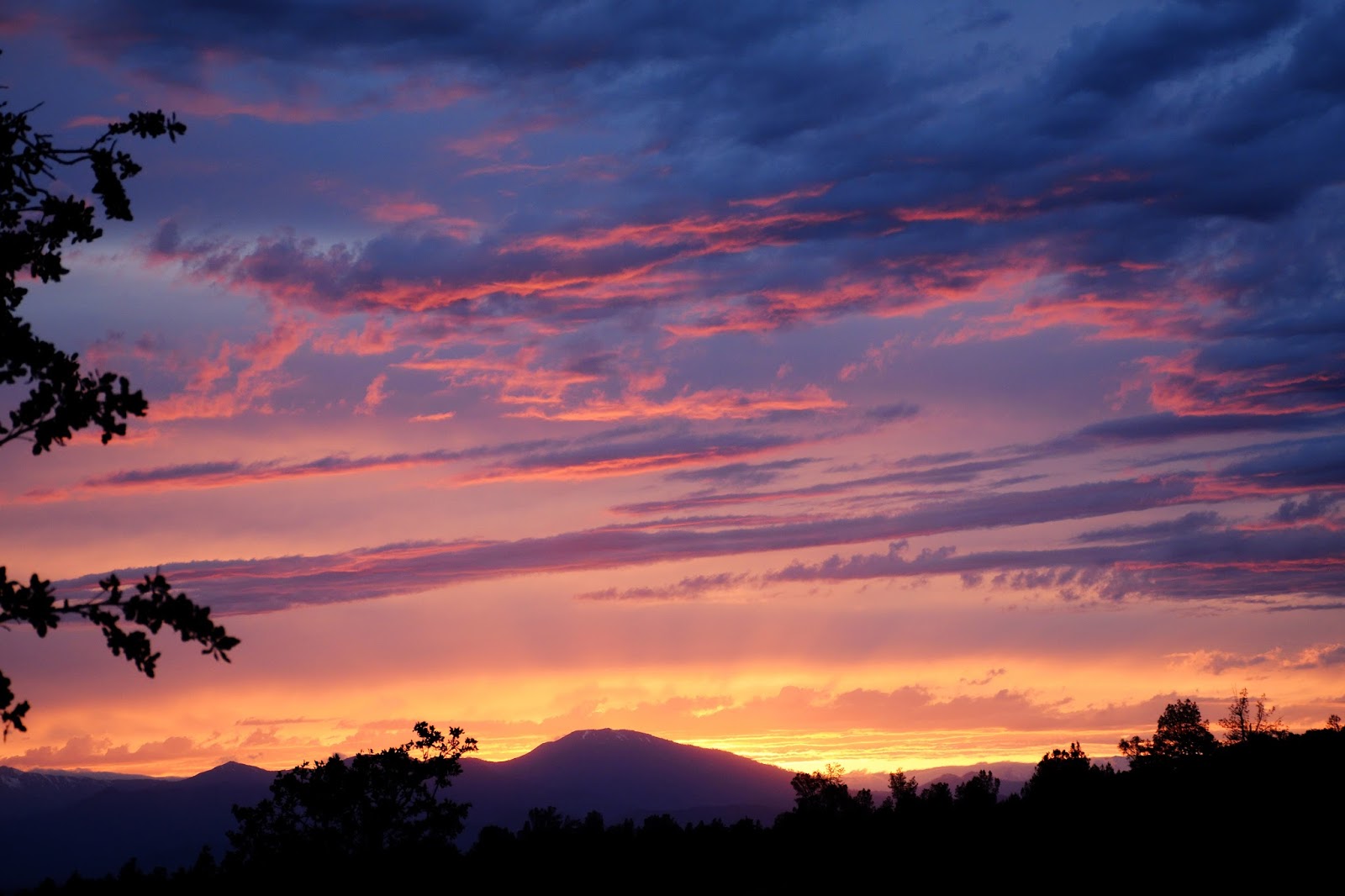Wandering and Wondering Hunting Without A License!