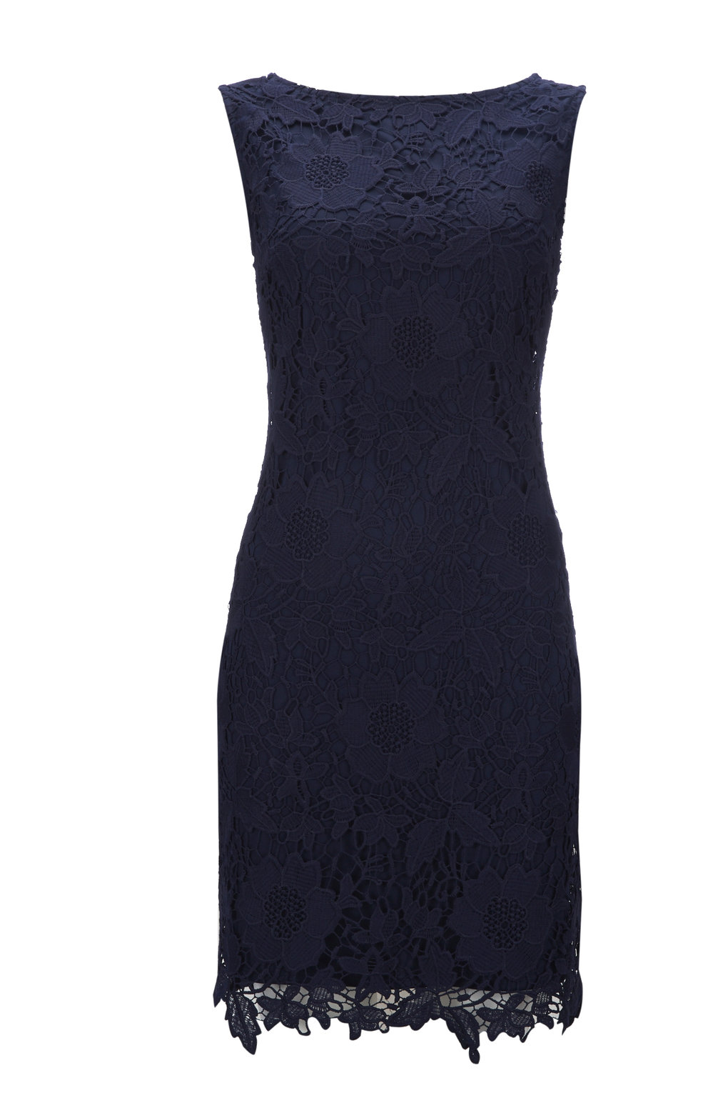 wallis plus size dresses