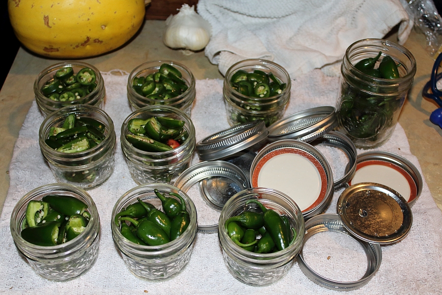 The Redneck Hippie Canning Hot Peppers The Easy Way AKA Small Batch