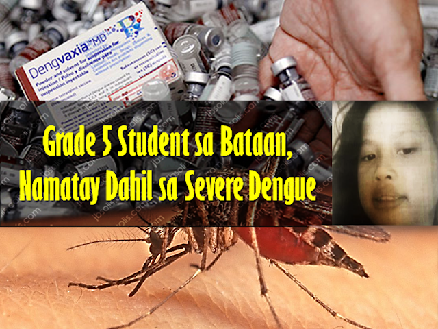 After the expose of the controversy on the questionable effect of Dengvaxia, victims started to surface attesting to the adverse effect of the vaccine and some children has actually died. In October last year, a Grade 5 student in Mariveles, Bataan, died of severe dengue, months after receiving a shot of Dengvaxia.  Read: More than 700 Filipino children at risk after receiving anti-dengue vaccine.  Christine Mae de Guzman, who had no previous history of dengue, developed severe headache and fever on October 11, was rushed to the Bataan General Hospital on October 14, and died on October 15. She received the first Dengvaxia shot in April.  The Sisiman Elementary School student's death certificate stated that she died due to disseminated intravascular coagulopathy and severe dengue.  De Guzman's parents, Marivic and Nelson, who believe her condition was caused by the vaccine, are hoping for justice, especially after Sanofi Pasteur, Dengvaxia's manufacturer, admitted that the vaccine may aggravate the disease in people who have not been afflicted previously by dengue.  "Sana po magkaroon ng hustisya sa pagkamatay ng anak ko," Marivic said. "'Di naman po kasi masakitin 'yung anak ko. First time po niyang magkasakit ng ganun tapos dire-diretso po."  The report said Marivic and Nelson signed a parental consent form before their daughter was given the anti-dengue vaccination.  The Volunteers Against Crime and Corruption (VACC) will present De Guzman's death in the class action lawsuit it hopes to file against those involved on the controversial P3.5-billion dengue vaccination program of the Department of Health (DOH).  Prior to De Guzman's case, the death of an 11-year-old student who supposedly died after receiving the anti-dengue vaccine was brought up in a Senate blue ribbon committee investigation on the program in 2016.  Meanwhile, student Amy Tamayo from Tarlac reportedly contracted dengue despite receiving her third dose of Dengvaxia last August.{INSERT 2-3 PARAGRAPHS OR 3 IMAGES HERE} Sponsored Links {INSERT 2-3 PARAGRAPHS HERE}    "Sa DOH naman po, sana naman po sa nangyari sa apo ko, naging leksyon na dapat po hindi basta-basta gumagawa ng mga ganito siguro," Amalia, Amy's grandmother, said.  The consent form shown by Amalia Tamayo only informed the parent of the free vaccination and none of the possible side effects of the dengue vaccine.  Health Secretary Francisco Duque III said this case puts to question the efficacy of Dengvaxia, which promised to give protection against dengue in the first 30 months.  "Well, lumalabas na hindi 30 months. Wala namang testing ginawa. Bago ito binigay, wala namang ginawang test to look for antibodies na magpapatunay na nagkaroon ng infection. Wala namang ganun, or failure ng vaccine itself na hindi nakapagbigay ng protection," he said.  The DOH, which suspended the vaccination program, has started monitoring all students in Bataan and other regions who were given Dengvaxia. Source: GMA News    Advertisement Read More:          ©2017 THOUGHTSKOTO