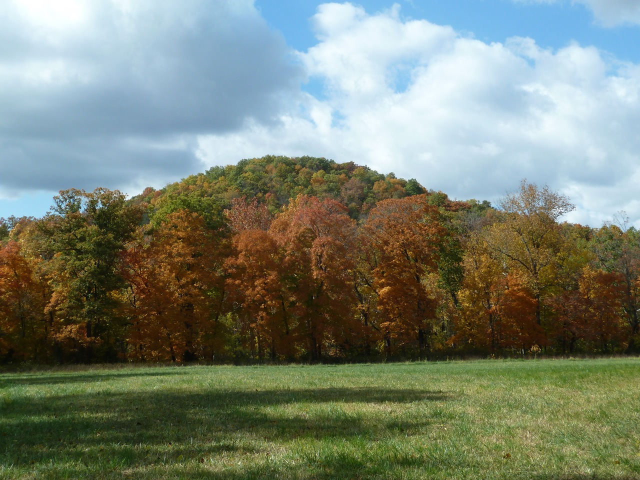 Springfield Plateau One Long Stick