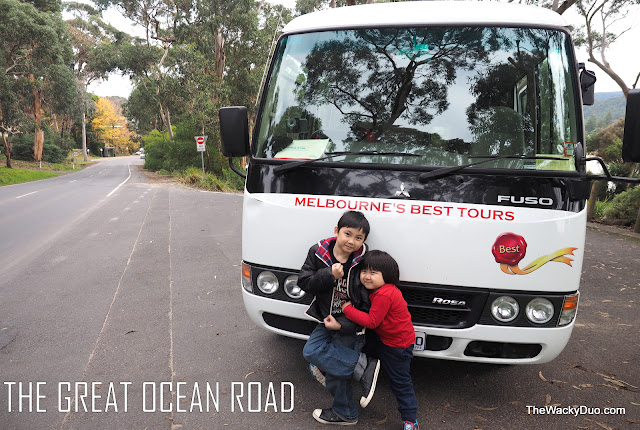 The Great Ocean Road : Melbourne's Best Tour Review