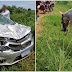 BARREIRAS: GAROTO SOFRE ACIDENTE COM CAVALO E FICA EM ESTADO GRAVE, FOI ATROPELADO POR UM CARRO.