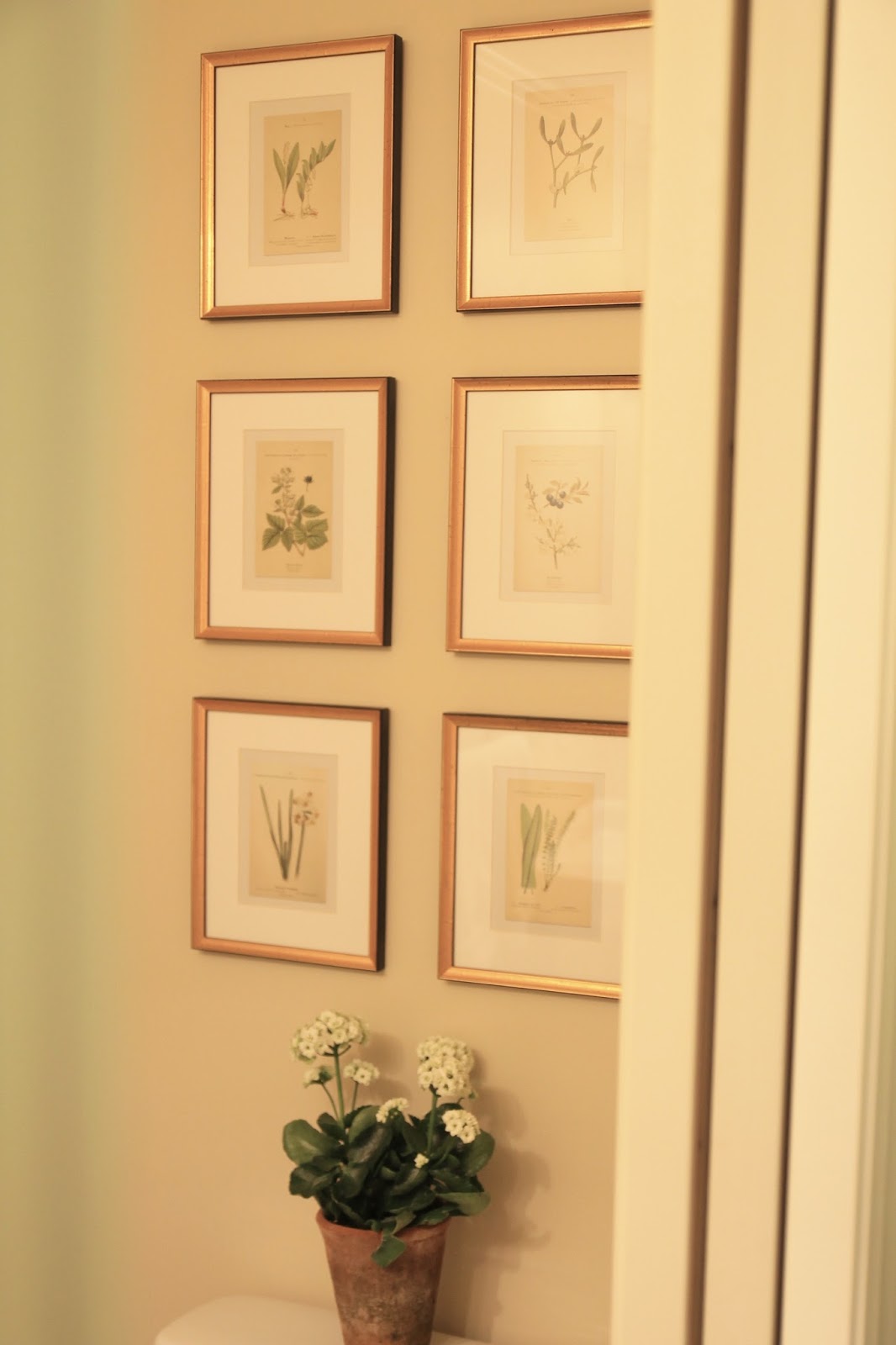 Jenny Steffens Hobick Gold Leaf Frames Mat Boards Botanical I Recently Found A New Spot To Display Botanical Collection In Our Powder Room These Are 8x10 Frames With 5x7 Prints They Were The Perfect Addition