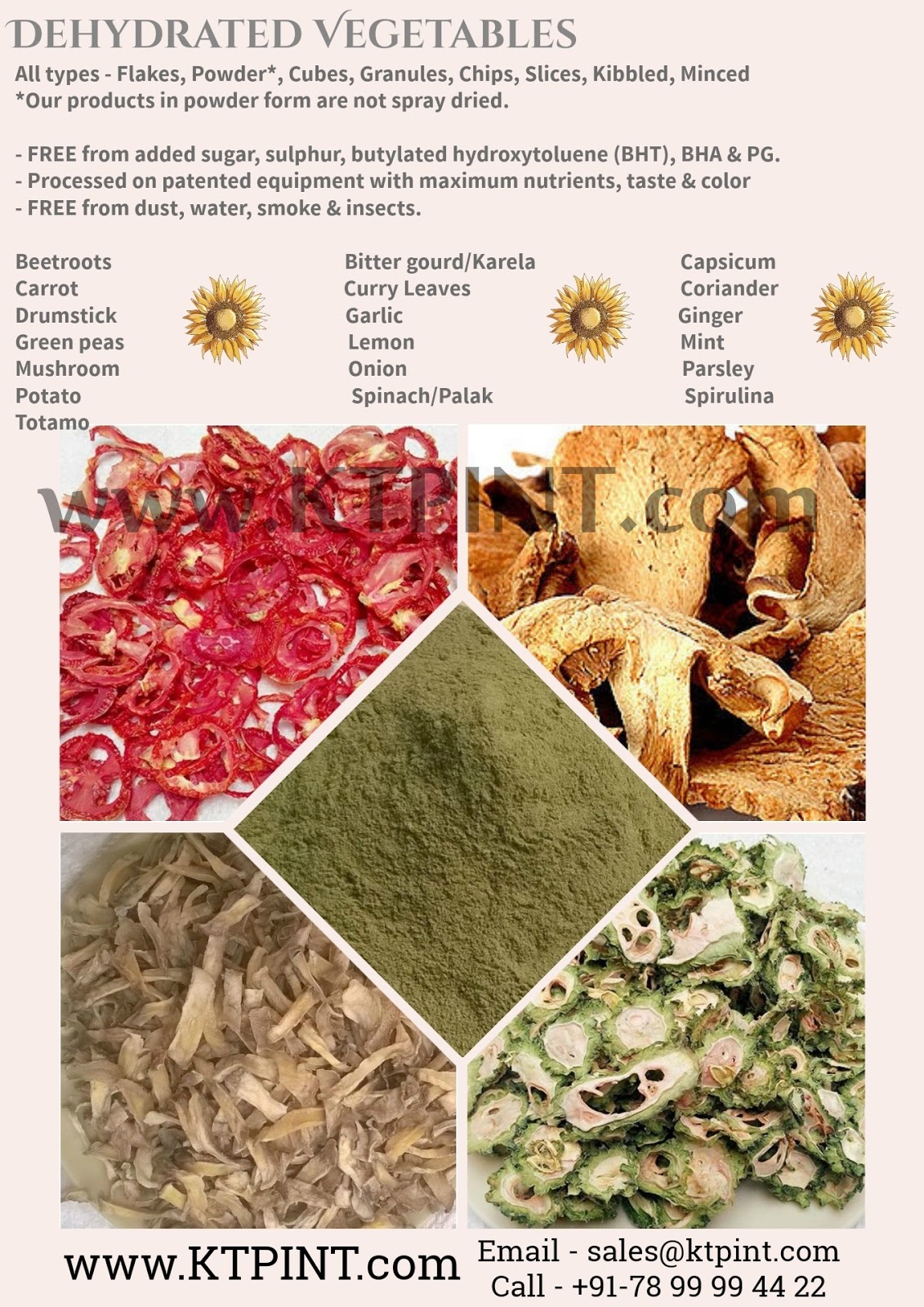 KTP International, India Dehydrated Fruits, Vegetables & Commodities