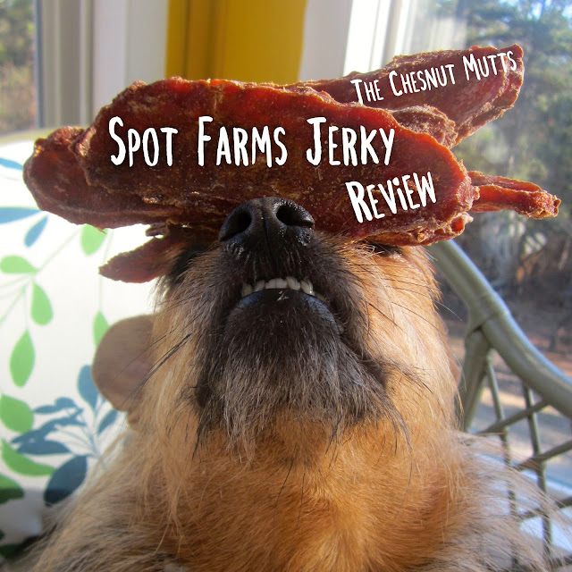 The Chesnut Mutts Spot Farms Jerky Review