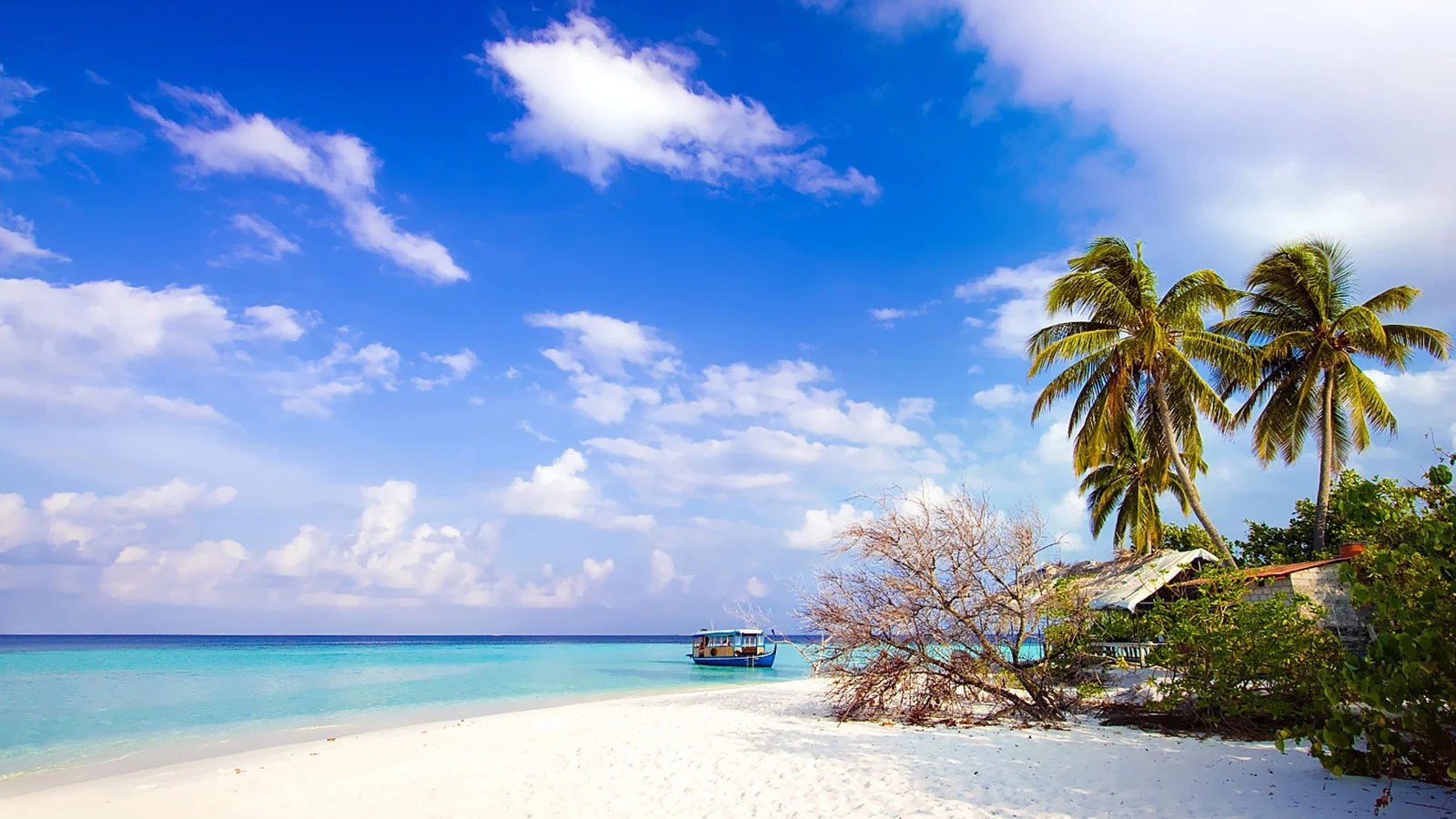 best places to visit Andaman and Nicobar