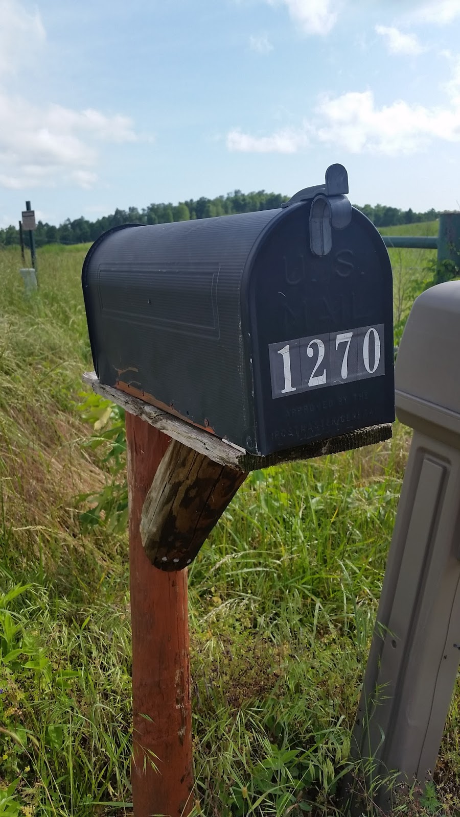 Heroes, Heroines, and History You've Got Mail A History of the Mailbox with Giveaway!