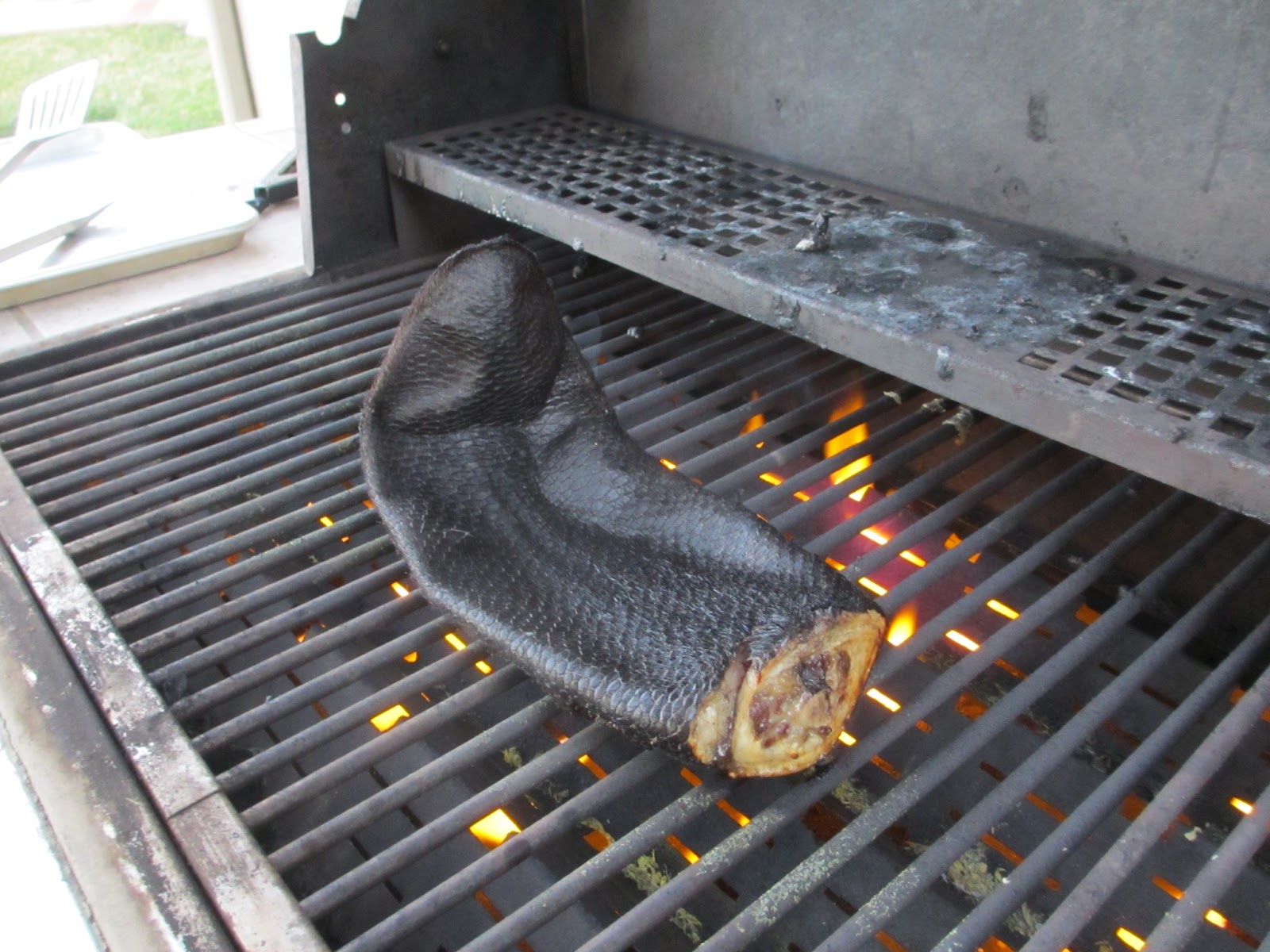 Cannundrums Beaver Tail