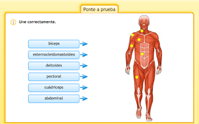 http://redcentros.ced.junta-andalucia.es/centros-tic/41009470/helvia/aula/archivos/repositorio/0/194/html/recursos/la/U03/pages/recursos/143315_P42_2/es_carcasa.html