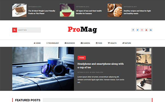 Promag Blogger Template