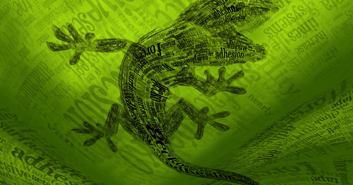 Talking Pictures Word Beasts 9 The Secrets Of A Gecko talking-pictures-word-beasts-9-the-secrets-of-a-gecko